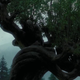 Photo credit: Warner Bros. screenshot